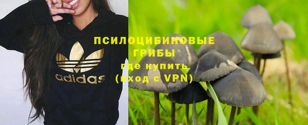 ПСИЛОЦИБИНОВЫЕ ГРИБЫ Бородино