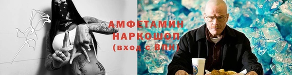 стаф Богданович