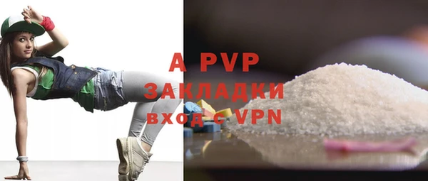 стаф Богданович