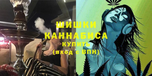 стаф Богданович