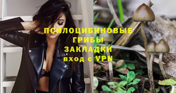 каннабис Богородицк