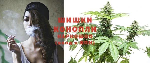 ПСИЛОЦИБИНОВЫЕ ГРИБЫ Бородино