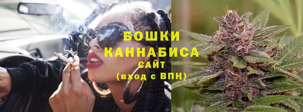 стаф Богданович