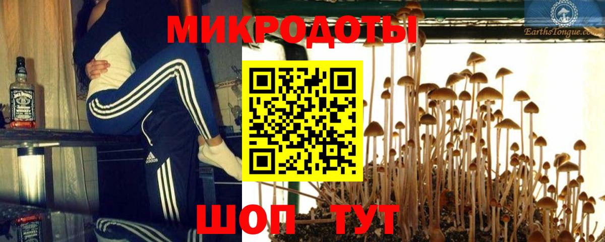 Галлюциногенные грибы прущие грибы Гусев